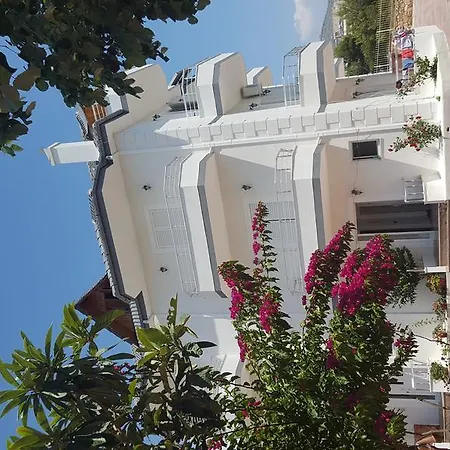 Πανσιόν Angel