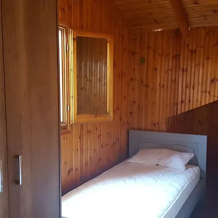 Angel Σαράντα